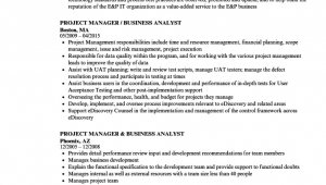 Business Analyst Project Manager Resume Sample Free Business Analyst Project Manager Resume Sample