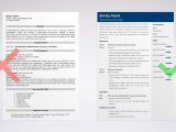 Business Analyst Sales force Sample Resume Salesforce Resume Samples (analyst, Administrator or Dev)