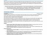 Business Analyst with Itil Resume Samples Job-winning Business Analyst Resume for 2022 [lancarrezekiqsamples]