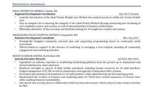 Chamber Of Commerce Executive Director Resume Sample Executive Director Resume Example Resume Professional Writers