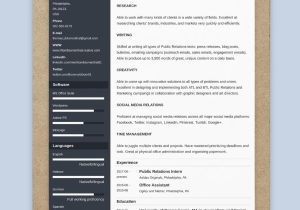 Changing the formatting On A Pre formatted Sample Resume the 3 Best Resume formats to Use In 2022 (examples)