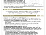 Chief Human Resources Officer Resume Samples 15lancarrezekiq Hr Resume Examples In Ms Word Apple Pages Google Docs …