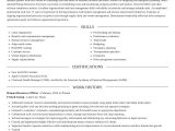 Chief Human Resources Officer Resume Samples Human Resources Officer Resume Maker & Example Rocket Resume
