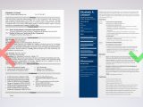 Civil Project Manager Resume Sample India Construction Project Manager Resume Examples & Guide