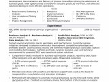 Compensation and Benefits Analyst Resume Sample Business Analyst Resume Sample Monster.com