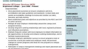 Director Of Career Services Resume Sample Director Of Career Services Resume Samples