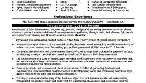 Director Of Product Development Resume Sample Product Manager Resume Sample Monster.com