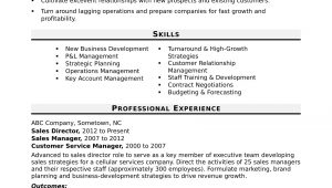 Director Of Sales and Marketing Resume Sample Sales Director Resume Sample Monster.com