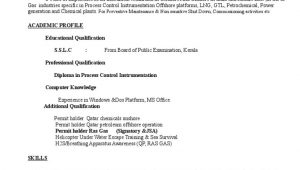 Electrical and Instrumentation Technician Resume Sample Instrument Technician Job Description Resume
