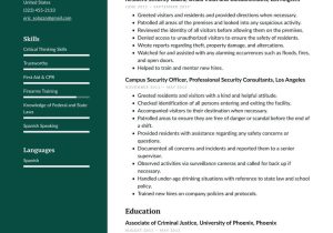 Entry Level Armed Security Resume Sample Security Guard Resume Examples & Writing Tips 2022 (free Guide)