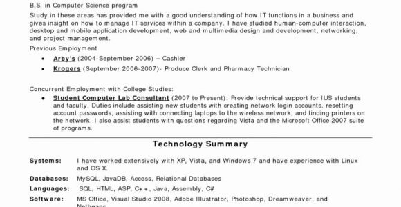 Entry Level Computer Technician Resume Sample Entry Level Puter Technician Resume