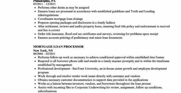 Entry Level Loan Processor Resume Sample Pin On Template Examples
