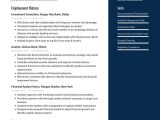 Equity Research Analyst Fresher Resume Sample Investment Banker Resume Examples & Writing Tips 2021 (free Guide)