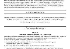 Federal Resume Project Healthcare Samples Risk Analyst Government Resume Template Monster.com