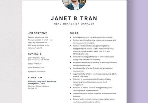 Federal Resume Project Healthcare Samples Risk Analyst Healthcare Risk Manager Resume Template – Word, Apple Pages …