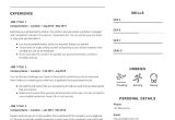 Film 1st assistant Director Resume Samples assistant Director Resume Sample Cv Owl