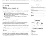 Film 1st assistant Director Resume Samples assistant Director Resume Sample Cv Owl