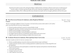 Finance Undergraduate Research assistant Resume Sample Research assistant Resume & Writing Guide  12 Resume Examples