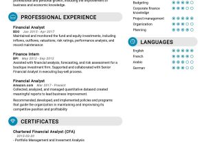 Financial Analyst Internships Undergraduate Resume Sample Junior Financial Analyst Resume 2021 Best Writing Tips – Resumekraft