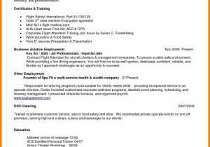 Flight attendant No Experience Resume Sample 25 Flight attendant Resume No Experience Business Template …