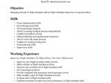 Flight attendant Resume No Experience Sample Pin by Venkimech On Applying for Jobs Resume No Experience …