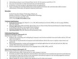 Free Resume Samples for It Professionals Free 16 It Resume Samples In Ms Word