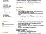 Free Resume Samples for It Professionals It Director Resume Example