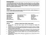 Free Resume Samples for It Professionals Resume Templates for It Professionals