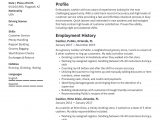 Free Sample Resume for Cashier Position Cashier Resume & Writing Guide [ 12 Samples ] Pdf & Word
