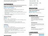 Free Sample Resume for Nursing assistant top-notch Certified Nursing assistant Service Resume Examples …