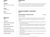Free Sample Resume Retail Store Manager 9 Store Manager Resume Samples Ideas Manager Resume, Resume …