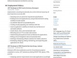 Full Stack Net Developer Resume Sample Net Developer Resume & Writing Guide  17 Templates