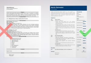 Gaffer Job Description for Resume Sample Film Resume: Sample & Writing Guide [20lancarrezekiq Tips]