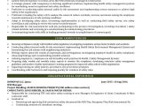 Health and Safety Manager Resume Sample Hse Manager Cv