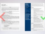 High School Science Teacher Resume Samples Teacher Resume Examples 2021 (templates, Skills & Tips)