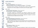 Identity and Access Management Sample Resume 80 Beautiful Photos Of Hr Resume Examples 2016
