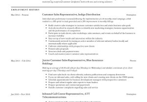 Independent Pharmaceutical Sales Rep Sample Resume Guide: Customer Sales Representative Resume  12 Samples Pdf 2022