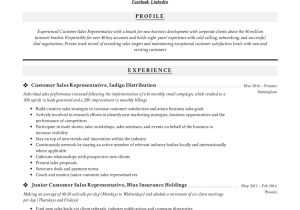 Independent Pharmaceutical Sales Rep Sample Resume Guide: Customer Sales Representative Resume  12 Samples Pdf 2022