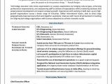 Information Technology Vice President Resume Sample Cto Resume Example – Distinctive Career Services