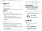 Information Technology Vice President Resume Sample It Director Resume Examples Do’s and Don’ts for 2022 Enhancv …