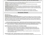 Information Technology Vice President Resume Sample What Should An It Resume Look Like? â are You Searching for An It …