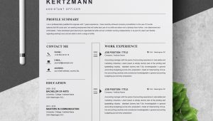 It Professional Resume Template Free Download Professional Resume Template â Free Resumes, Templates Pixelify.net