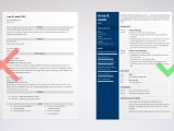 It Project Manager Resume Template Free Download Best Project Manager Resume Examples 2021 [template & Guide]