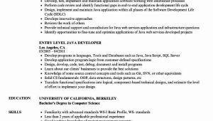 Java 2 Years Experience Resume Samples Sample Resume for Dot Net Developer Experience 2 Years – Good …