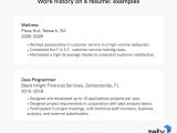 Job Application Work Experience Resume Sample Resume Work Experience, History & Job Description Examples