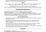 Junior C Developer Resume Sample Acceptance Criteria Sample Resume for A Midlevel It Developer Monster.com