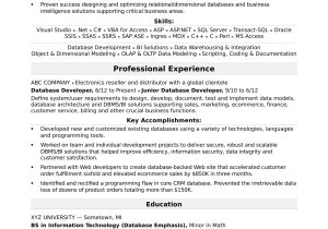 Junior C Developer Resume Sample Acceptance Criteria Sample Resume for A Midlevel It Developer Monster.com