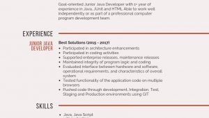 Junior Java Developer Resume Sample Pdf Junior Java Developer Resume Samples & Templates [pdflancarrezekiqword] 2021 …
