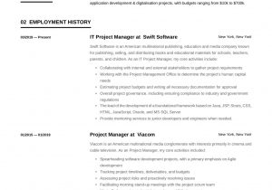 Junior Project Manager Resume Sample Doc 20 Project Manager Resume Examples & Full Guide Pdf & Word 2021