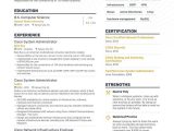 Linux System Administrator Sample Resume 5 Years Experience System Administrator Resume: 4 Sys Admin Resume Examples & Guide